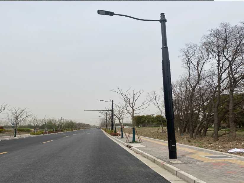 平南县上海综合杆 太阳能路灯工程